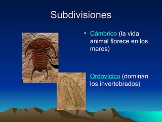Subdivisiones Cámbrico  (la vida animal florece en los mares)  Ordovícico  (dominan los invertebrados)  