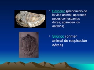 Devónico  (predominio de la vida animal; aparecen peces con escamas duras; aparecen los anfibios)  Silúrico  (primer animal de respiración aérea)  