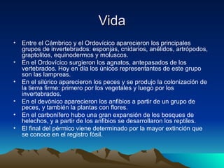 Vida Entre el Cámbrico y el Ordovícico aparecieron los principales grupos de invertebrados: esponjas, cnidarios, anélidos, artrópodos, graptolitos, equinodermos y moluscos. En el Ordovícico surgieron los agnatos, antepasados de los vertebrados. Hoy en día los únicos representantes de este grupo son las lampreas.  En el silúrico aparecieron los peces y se produjo la colonización de la tierra firme: primero por los vegetales y luego por los invertebrados. En el devónico aparecieron los anfibios a partir de un grupo de peces, y también la plantas con flores. En el carbonífero hubo una gran expansión de los bosques de helechos, y a partir de los anfibios se desarrollaron los reptiles. El final del pérmico viene determinado por la mayor extinción que se conoce en el registro fósil. 