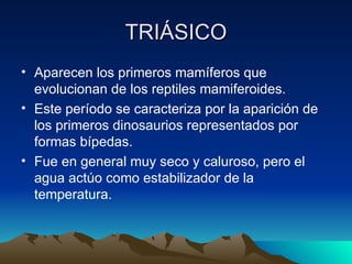 TRIÁSICO Aparecen los primeros mamíferos que evolucionan de los reptiles mamiferoides. Este período se caracteriza por la aparición de los primeros dinosaurios representados por formas bípedas. Fue en general muy seco y caluroso, pero el agua actúo como estabilizador de la temperatura. 