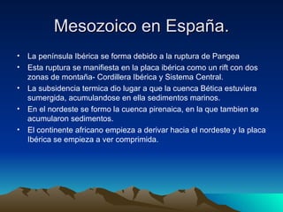 Mesozoico en España. La península Ibérica se forma debido a la ruptura de Pangea Esta ruptura se manifiesta en la placa ibérica como un rift con dos zonas de montaña- Cordillera Ibérica y Sistema Central. La subsidencia termica dio lugar a que la cuenca Bética estuviera sumergida, acumulandose en ella sedimentos marinos. En el nordeste se formo la cuenca pirenaica, en la que tambien se acumularon sedimentos. El continente africano empieza a derivar hacia el nordeste y la placa Ibérica se empieza a ver comprimida. 