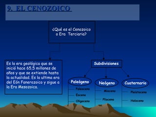 9.  EL CENOZOICO  Paleoceno Eoceno Oligoceno ¿Qué es el Cenozoico  o Era  Terciaria? Es la era geológica que se inició hace 65,5 millones de años y que se extiende hasta la actualidad. Es la ultima era del Eón Fanerozoico y sigue a la Era Mesozoica. Subdivisiones Paleógeno Neógeno Cuaternario Mioceno Plioceno Pleistoceno Holoceno 