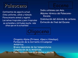 Continentes de aspecto actual.  Clima uniforme, cálido y húmedo. Florecimiento animal y vegetal.  Las selvas tropicales y para tropicales se extendían a latitudes mucho  más altas que en la actualidad . Paleoceno Eoceno India colisiona con Asia. Máximo térmico del Paleoceno-Eoceno. Disminución del dióxido de carbono. Extinción de final del Eoceno Oligoceno Orogenia Alpina (Pirineos, Alpes e Himalaya). Formación de la Corriente Circumpolar Antártica. Brusco descenso de las temperaturas. Congelación de la Antártida. Familias modernas de animales y plantas  