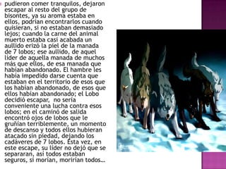 

pudieron comer tranquilos, dejaron
escapar al resto del grupo de
bisontes, ya su aroma estaba en
ellos, podrían encontrarlos cuando
quisieran, si no estaban demasiado
lejos; cuando la carne del animal
muerto estaba casi acabada un
aullido erizó la piel de la manada
de 7 lobos; ese aullido, de aquel
líder de aquella manada de muchos
más que ellos, de esa manada que
habían abandonado. El hambre les
había impedido darse cuenta que
estaban en el territorio de esos que
los habían abandonado, de esos que
ellos habían abandonado; el Lobo
decidió escapar, no sería
conveniente una lucha contra esos
lobos; en el caminó de salida
encontró ojos de lobos que le
gruñían terriblemente, un momento
de descanso y todos ellos hubieran
atacado sin piedad, dejando los
cadáveres de 7 lobos. Esta vez, en
este escape, su líder no dejó que se
separaran, así todos estaban
seguros, si morían, morirían todos…

 