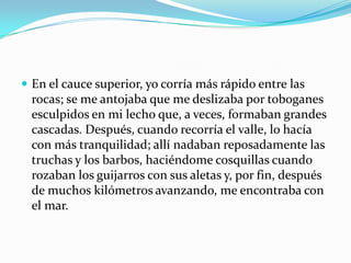  En el cauce superior, yo corría más rápido entre las
  rocas; se me antojaba que me deslizaba por toboganes
  esculpidos en mi lecho que, a veces, formaban grandes
  cascadas. Después, cuando recorría el valle, lo hacía
  con más tranquilidad; allí nadaban reposadamente las
  truchas y los barbos, haciéndome cosquillas cuando
  rozaban los guijarros con sus aletas y, por fin, después
  de muchos kilómetros avanzando, me encontraba con
  el mar.
 