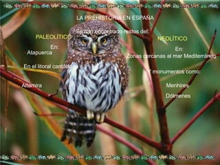 LA PREHISTORIA EN ESPAÑASe han encontrado restos del:PALEOLÍTICONEOLÍTICOEn:En:-Atapuerca- Zonas cercanas al mar Mediterráneo - En el litoral cantábricoY monumentos como:- Altamira- Menhires- Dólmenes