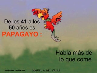 De los  41  a los  50  años es  PAPAGAYO : Habla más de lo que come no pinches cambia solo 