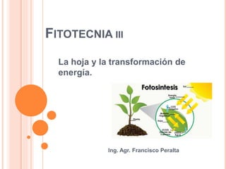 FITOTECNIA III
La hoja y la transformación de
energía.
Ing. Agr. Francisco Peralta
 