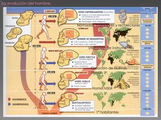 La evolución del hombre.Nómadas, cazadores y recolectoresUtilización de instrumentosCreación de nuevas armasHomo hábil1ª habitantes