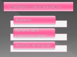 Cambios característicos