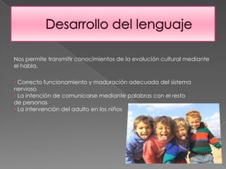 El cráneo se inserta por su base en la columna.