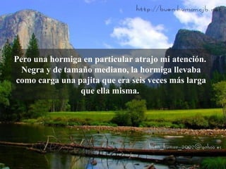 Pero una hormiga en particular atrajo mi atención.
  Negra y de tamaño mediano, la hormiga llevaba
como carga una pajita que era seis veces más larga
                 que ella misma.




 01:31
 