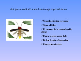 Así que se contrató a una Luciérnaga especialista en



                            Neurolingüística gerencial
                            Sigan al líder
                            El proceso de la comunicación
                            eficaz
                            Piense y actúe como Jefe
                            De burócrata a Supervisor
                            Planeación efectiva
 