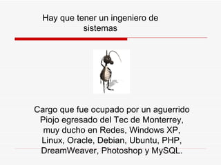 H ay que tener un ingeniero de sistemas C argo que fue ocupado por un aguerrido Piojo egresado del Tec de Monterrey, muy ducho en Redes, Windows  XP , Linux, Oracle , Debian, Ubuntu, PHP, DreamWeaver, Photoshop y MySQL. 