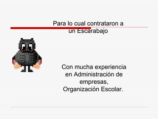 P ara l o  cual contrataron a un Escarabajo C on mucha experiencia en Administración de empresas, Organización Escolar.  