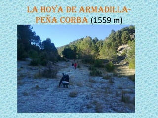 LA HOYA DE ARMADILLA-
  PEÑA CORBA (1559 m)
 