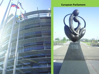 European Parliament