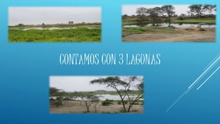CONTAMOS CON 3 LAGUNAS
 