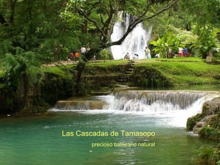 Las Cascadas de Tamasopo precioso balneario natural  