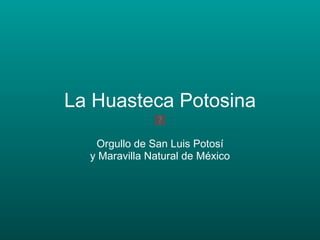 La Huasteca Potosina Orgullo de San Luis Potosí y Maravilla Natural de México 