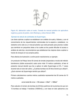 91
Figura 43. Aplicación sobre el suelo. Tomada de manual práctico de agricultura
orgánica y panes de piedra. Jairo Restrepo y Julius Hensel. 2009.
Ejemplo de cálculo de cantidades de Supermagro.
Las dosis optimas a aplicar se establecen con análisis de suelo y foliares; y con el
conocimiento de los requerimientos nutricionales de la especie a establecer, no
obstante como este es un manual práctico que está pensado para jóvenes rurales
que siembran en pequeñas áreas a los cuales se les puede dificultar el acceso a
análisis de este tipo, recomendamos que establezcan las mejores dosis a aplicar a
través de ensayos en sus propios patios.
Para efectos de ilustración a continuación resolveremos un ejemplo:
Un productor de Pelayo tiene 50 camas de tomate preparadas a través del método
biointensivo (doble excavación) cada cama mide 10 metros cuadrados, al leer el
presente manual decidió que iba a aplicar el caldo Supermagro al 4%, 7 veces
durante todo el ciclo del cultivo. ¿Cuántas bombas de 20 litros tendrá que utilizar?,
¿Qué volumen de Supermagro tendrá que utilizar?.
Primero calcularemos cuantos metros cuadrados representan las 50 camas de 10
metros cuadrados.
𝒂𝒓𝒆𝒂 𝒕𝒐𝒕𝒂𝒍 𝒅𝒆 𝒆𝒓𝒂𝒔 = 𝟓𝟎 𝒄𝒂𝒎𝒂𝒔 × 𝟏𝟎𝒎 𝟐
= 𝟓𝟎𝟎𝒎 𝟐
Para calcular el número de bombas de 20 litros partimos de la premisa de que con
12 bombas se trabaja 1 hectárea (10000m2), y con base en esto aplicamos una
 