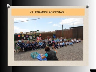 Y LLENAMOS LAS CESTAS…
 