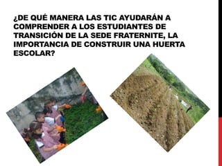 ¿DE QUÉ MANERA LAS TIC AYUDARÁN A
COMPRENDER A LOS ESTUDIANTES DE
TRANSICIÓN DE LA SEDE FRATERNITE, LA
IMPORTANCIA DE CONSTRUIR UNA HUERTA
ESCOLAR?
 