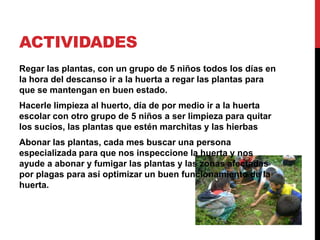 ACTIVIDADES
Regar las plantas, con un grupo de 5 niños todos los días en
la hora del descanso ir a la huerta a regar las plantas para
que se mantengan en buen estado.
Hacerle limpieza al huerto, día de por medio ir a la huerta
escolar con otro grupo de 5 niños a ser limpieza para quitar
los sucios, las plantas que estén marchitas y las hierbas
Abonar las plantas, cada mes buscar una persona
especializada para que nos inspeccione la huerta y nos
ayude a abonar y fumigar las plantas y las zonas afectadas
por plagas para así optimizar un buen funcionamiento de la
huerta.
 