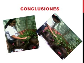 CONCLUSIONES
 
