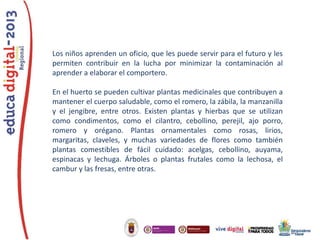 Los niños aprenden un oficio, que les puede servir para el futuro y les
permiten contribuir en la lucha por minimizar la contaminación al
aprender a elaborar el comportero.

En el huerto se pueden cultivar plantas medicinales que contribuyen a
mantener el cuerpo saludable, como el romero, la zábila, la manzanilla
y el jengibre, entre otros. Existen plantas y hierbas que se utilizan
como condimentos, como el cilantro, cebollino, perejil, ajo porro,
romero y orégano. Plantas ornamentales como rosas, lirios,
margaritas, claveles, y muchas variedades de flores como también
plantas comestibles de fácil cuidado: acelgas, cebollino, auyama,
espinacas y lechuga. Árboles o plantas frutales como la lechosa, el
cambur y las fresas, entre otras.

 