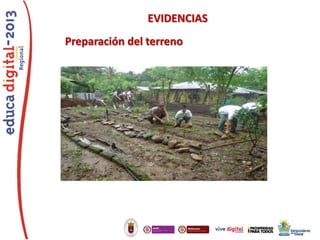 EVIDENCIAS
Preparación del terreno

 