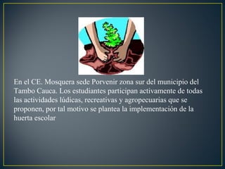 En el CE. Mosquera sede Porvenir zona sur del municipio del
Tambo Cauca. Los estudiantes participan activamente de todas
las actividades lúdicas, recreativas y agropecuarias que se
proponen, por tal motivo se plantea la implementación de la
huerta escolar

 