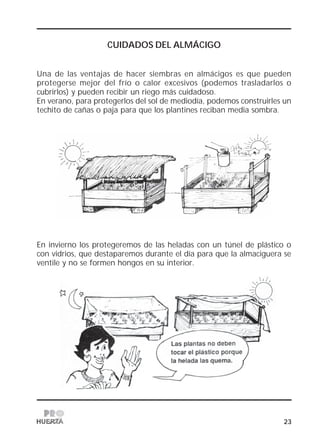 23
CUIDADOS DEL ALMÁCIGO
Una de las ventajas de hacer siembras en almácigos es que pueden
protegerse mejor del frío o calor excesivos (podemos trasladarlos o
cubrirlos) y pueden recibir un riego más cuidadoso.
En verano, para protegerlos del sol de mediodía, podemos construirles un
techito de cañas o paja para que los plantines reciban media sombra.
En invierno los protegeremos de las heladas con un túnel de plástico o
con vidrios, que destaparemos durante el día para que la almaciguera se
ventile y no se formen hongos en su interior.
 