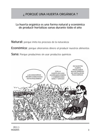 3
¿ PORQUÉ UNA HUERTA ORGÁNICA ?
La huerta orgánica es una forma natural y económica
de producir hortalizas sanas durante todo el año
Natural: porque imita los procesos de la naturaleza
Económica: porque ahorramos dinero al producir nuestros alimentos
Sana: Porque producimos sin usar productos químicos
 