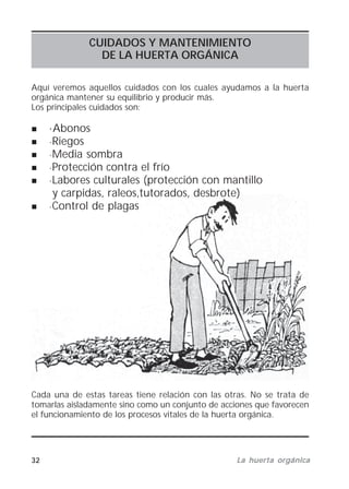 32 La huerta orgánicaLa huerta orgánicaLa huerta orgánicaLa huerta orgánicaLa huerta orgánica
CUIDADOS Y MANTENIMIENTO
DE LA HUERTA ORGÁNICA
Aquí veremos aquellos cuidados con los cuales ayudamos a la huerta
orgánica mantener su equilibrio y producir más.
Los principales cuidados son:
·Abonos
·Riegos
·Media sombra
·Protección contra el frío
·Labores culturales (protección con mantillo
y carpidas, raleos,tutorados, desbrote)
·Control de plagas
Cada una de estas tareas tiene relación con las otras. No se trata de
tomarlas aisladamente sino como un conjunto de acciones que favorecen
el funcionamiento de los procesos vitales de la huerta orgánica.
 