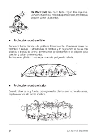 34 La huerta orgánicaLa huerta orgánicaLa huerta orgánicaLa huerta orgánicaLa huerta orgánica
EN INVIERNO No hace falta regar tan seguido.
Conviene hacerlo al mediodía porque si no, las heladas
pueden dañar las plantas.
Protección contra el frío
Podemos hacer tùneles de pláticos transparente. Clavamos arcos de
alambre o ramas . Extendemos el plástico y lo sujetamos al suelo con
piedras o bolsas de arena. Levantamos cotidianamente el plástico para
ventilar y evitar enfermedades.
Retiramos el plástico cuando ya no exista peligro de helada.
Protección contra el calor
Cuando el sol es muy fuerte, protegemos las plantas con techos de ramas,
arpilleras o tela de media sombra.
 