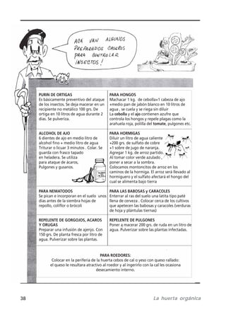 38 La huerta orgánicaLa huerta orgánicaLa huerta orgánicaLa huerta orgánicaLa huerta orgánica
Es básicamente preventivo del ataque
de los insectos. Se deja macerar en un
recipiente no metálico 100 grs. De
ortiga en 10 litros de agua durante 2
días. Se pulveriza.
6 dientes de ajo en medio litro de
alcohol fino + medio litro de agua
Triturar o licuar 3 minutos . Colar. Se
guarda con frasco tapado
en heladera. Se utiliza
para ataque de ácaros,
Pulgones y gusanos.
Se pican e incorporan en el suelo unos
días antes de la siembra hojas de
repollo, coliflor o brócoli
Preparar una infusión de ajenjo. Con
150 grs. De planta fresca por litro de
agua. Pulverizar sobre las plantas.
Colocar en la periferia de la huerta cebos de cal o yeso con queso rallado:
el queso le resultara atractivo al roedor y al ingerirlo con la cal les ocasiona
desecamiento interno.
Machacar 1 kg. de cebolla+1 cabeza de ajo
+medio pan de jabón blanco en 10 litros de
agua , se cuela y se riega sin diluir
La y el contienen azufre que
controla los hongos y repele plagas como la
arañuela roja, polilla del , pulgones etc.
Diluir un litro de agua caliente
+200 grs. de sulfato de cobre
+1 sobre de jugo de naranja.
Agregar 1 kg. de arroz partido.
Al tomar color verde azulado ,
poner a secar a la sombra.
Colocamos montoncitos de arroz en los
caminos de la hormiga. El arroz será llevado al
hormiguero y el sulfato afectará el hongo del
cual se alimenta bajo tierra
Enterrar al ras del suelo una latita tipo paté
llena de cerveza . Colocar cerca de los cultivos
que apetecen las babosas y caracoles (verduras
de hoja y plántulas tiernas)
Poner a macerar 200 grs. de ruda en un litro de
agua. Pulverizar sobre las plantas infectadas.
 