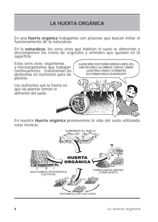 4 La huerta orgánicaLa huerta orgánicaLa huerta orgánicaLa huerta orgánicaLa huerta orgánica
LA HUERTA ORGÁNICA
En una huerta orgánica trabajamos con procesos que buscan imitar el
funcionamiento de la naturaleza.
En la naturaleza, los seres vivos que habitan el suelo se alimentan y
descomponen los restos de vegetales y animales que quedan en la
superficie.
Estos seres vivos, organismos
y microorganismos que trabajan
continuamente, transforman los
deshechos en nutrientes para las
plantas.
Los nutrientes son la forma en
que las plantas toman el
alimento del suelo.
En nuestra Huerta orgánica promovemos la vida del suelo utilizando
estas técnicas:
 