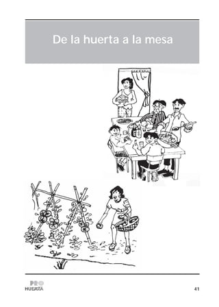 41
De la huerta a la mesa
 