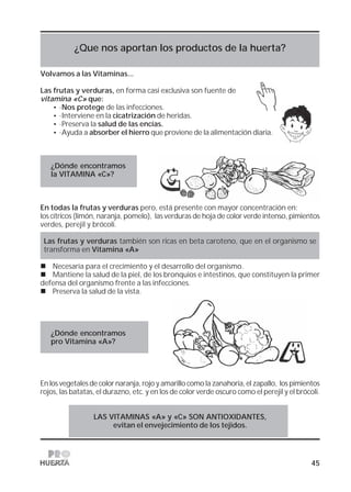 45
¿Que nos aportan los productos de la huerta?
Volvamos a las Vitaminas...
Las frutas y verduras, en forma casi exclusiva son fuente de
vitamina «C» que:
• ·Nos protege de las infecciones.
• ·Interviene en la cicatrización de heridas.
• ·Preserva la salud de las encías.
• ·Ayuda a absorber el hierro que proviene de la alimentación diaria.
¿Dónde encontramos
la VITAMINA «C»?
En todas la frutas y verduras pero, está presente con mayor concentración en:
los cítricos (limón, naranja, pomelo), las verduras de hoja de color verde intenso, pimientos
verdes, perejil y brócoli.
Las frutas y verduras también son ricas en beta caroteno, que en el organismo se
transforma en Vitamina «A»
Necesaria para el crecimiento y el desarrollo del organismo.
Mantiene la salud de la piel, de los bronquios e intestinos, que constituyen la primer
defensa del organismo frente a las infecciones.
Preserva la salud de la vista.
¿Dónde encontramos
pro Vitamina «A»?
En los vegetales de color naranja, rojo y amarillo como la zanahoria, el zapallo, los pimientos
rojos, las batatas, el durazno, etc. y en los de color verde oscuro como el perejil y el brócoli.
LAS VITAMINAS «A» y «C» SON ANTIOXIDANTES,
evitan el envejecimiento de los tejidos.
 