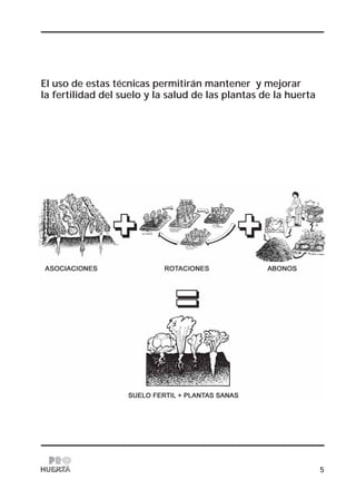 5
El uso de estas técnicas permitirán mantener y mejorar
la fertilidad del suelo y la salud de las plantas de la huerta
 