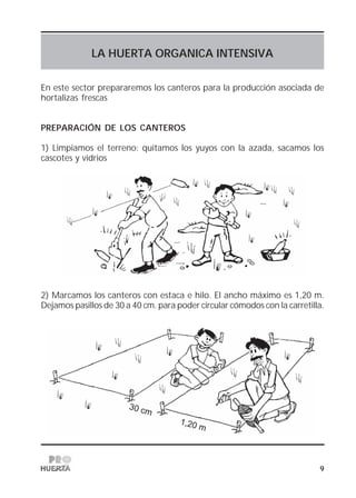 9
LA HUERTA ORGANICA INTENSIVA
En este sector prepararemos los canteros para la producción asociada de
hortalizas frescas
PREPARACIÓN DE LOS CANTEROS
1) Limpiamos el terreno: quitamos los yuyos con la azada, sacamos los
cascotes y vidrios
2) Marcamos los canteros con estaca e hilo. El ancho máximo es 1,20 m.
Dejamos pasillos de 30 a 40 cm. para poder circular cómodos con la carretilla.
 