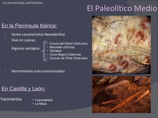 La humanidad prehistórica

                                                         El Paleolítico Medio
En la Península Ibérica:
     Homo característico Neanderthal.
     Vive en cuevas.
                              Cueva del Sidrón (Asturias)
                              Banyoles (Girona)
     Algunos vestigios:
                              Gibraltar
                              Cova Negra (Valencia)
                              Cuevas de Piñar (Granada)



     Herramientas más evolucionadas



En Castilla y León:
Yacimientos         Fuensaldaña
                    La Maya
 