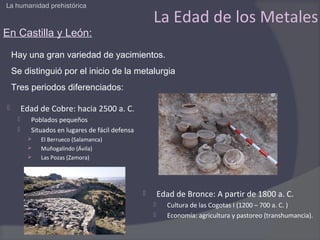 La humanidad prehistórica

                                                      La Edad de los Metales
En Castilla y León:

    Hay una gran variedad de yacimientos.
    Se distinguió por el inicio de la metalurgia
    Tres periodos diferenciados:

        Edad de Cobre: hacia 2500 a. C.
          Poblados pequeños
          Situados en lugares de fácil defensa
             El Berrueco (Salamanca)
             Muñogalindo (Ávila)
             Las Pozas (Zamora)




                                                         Edad de Bronce: A partir de 1800 a. C.
                                                           Cultura de las Cogotas I (1200 – 700 a. C. )
                                                           Economía: agricultura y pastoreo (transhumancia).
 