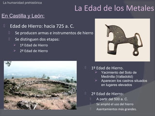 La humanidad prehistórica

                                       La Edad de los Metales
En Castilla y León:
   Edad de HIerro: hacia 725 a. C.
       Se producen armas e instrumentos de hierro
       Se distinguen dos etapas:
         1º Edad de Hierro
         2º Edad de Hierro




                                                    1º Edad de Hierro.
                                                         Yacimiento del Soto de
                                                          Medinilla (Valladolid)
                                                         Aparecen los castros situados
                                                          en lugares elevados

                                                    2º Edad de Hierro:
                                                      A partir del 500 a. C.
                                                      Se amplió el uso del hierro
                                                      Asentamientos más grandes.
 