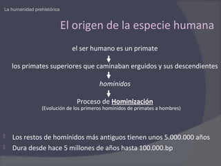 La humanidad prehistórica


                            El origen de la especie humana
                              el ser humano es un primate

    los primates superiores que caminaban erguidos y sus descendientes

                                        homínidos

                               Proceso de Hominización
                (Evolución de los primeros homínidos de primates a hombres)




   Los restos de homínidos más antiguos tienen unos 5.000.000 años
   Dura desde hace 5 millones de años hasta 100.000.bp
 
