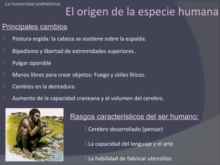 La humanidad prehistórica

                                El origen de la especie humana
Principales cambios
      Postura ergida: la cabeza se sostiene sobre la espalda.
      Bipedismo y libertad de extremidades superiores.
      Pulgar oponible
      Manos libres para crear objetos: Fuego y útiles líticos.
      Cambios en la dentadura.
      Aumento de la capacidad craneana y el volumen del cerebro.


                                Rasgos característicos del ser humano:
                                      Cerebro desarrollado (pensar)

                                      La capacidad del lenguaje y el arte

                                      La habilidad de fabricar utensilios
 