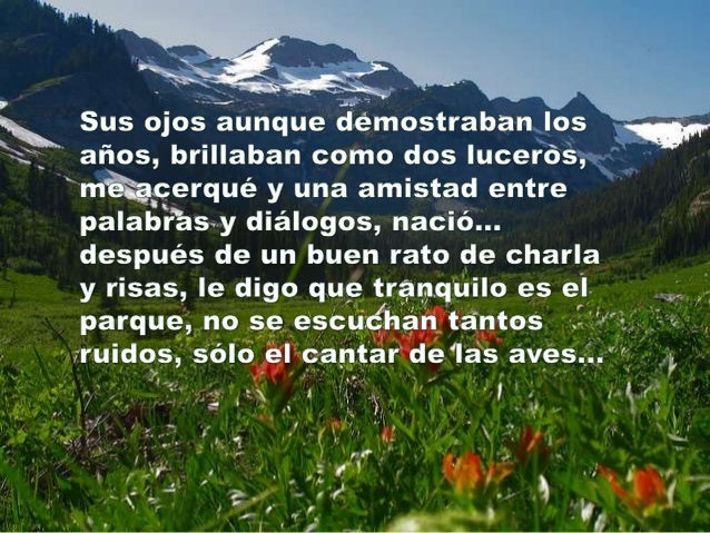 Cual Es El Antonimo De Humildad