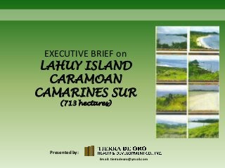 EXECUTIVE BRIEF on

LAHUY ISLAND
CARAMOAN
CAMARINES SUR
(713 hectares)

Presented by:
Email: tierradeoro@ymail.com

 