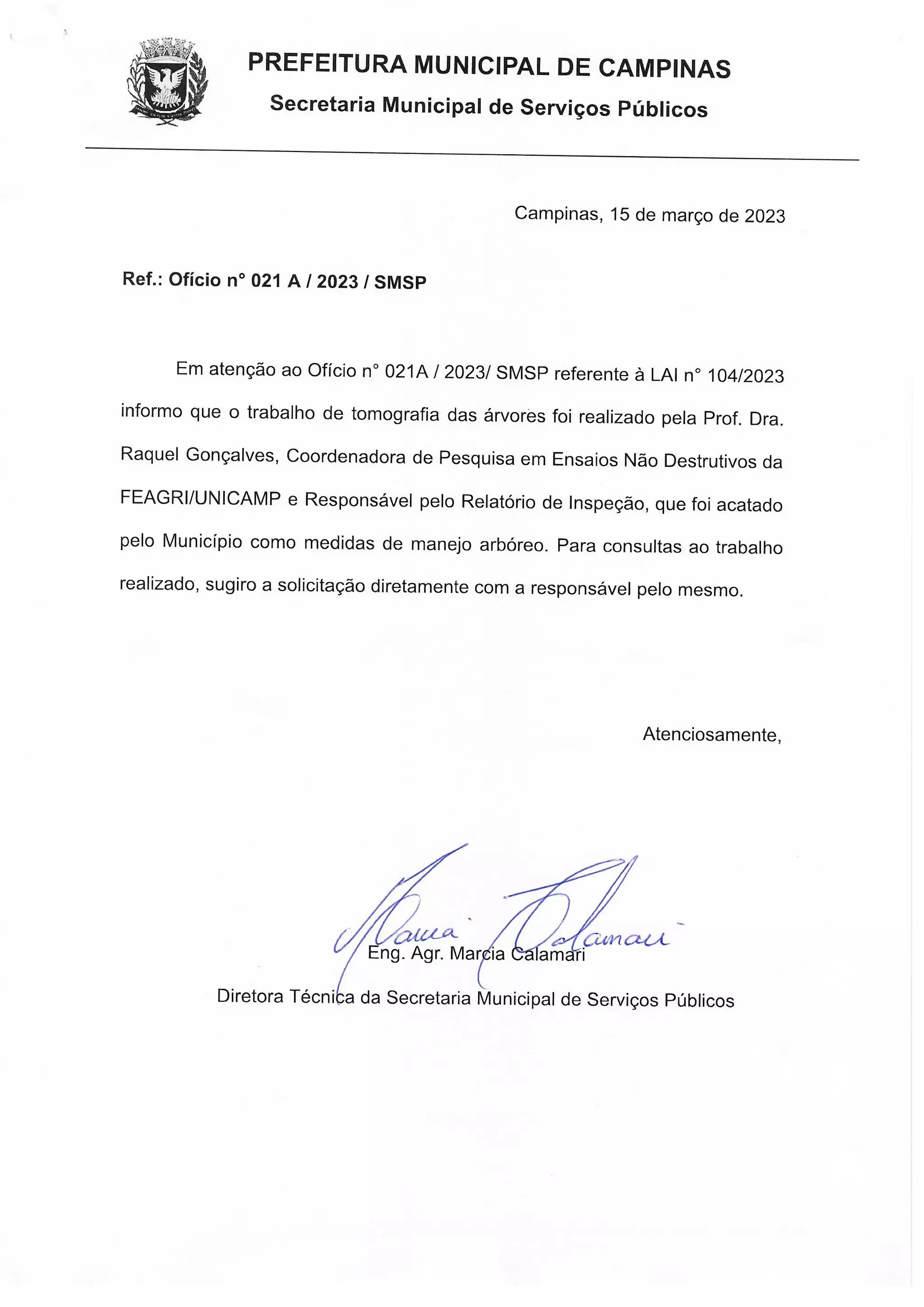 Eucaliptos Taquaral -Tomo-resp DPJ